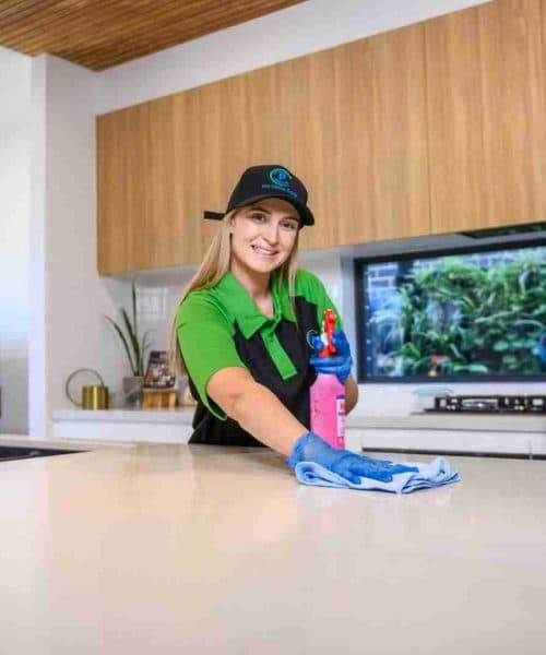 Cleaning Service